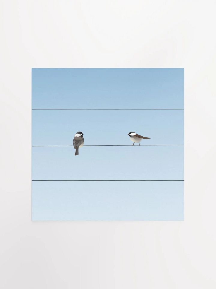 Two Birds on a Wire product image (1)