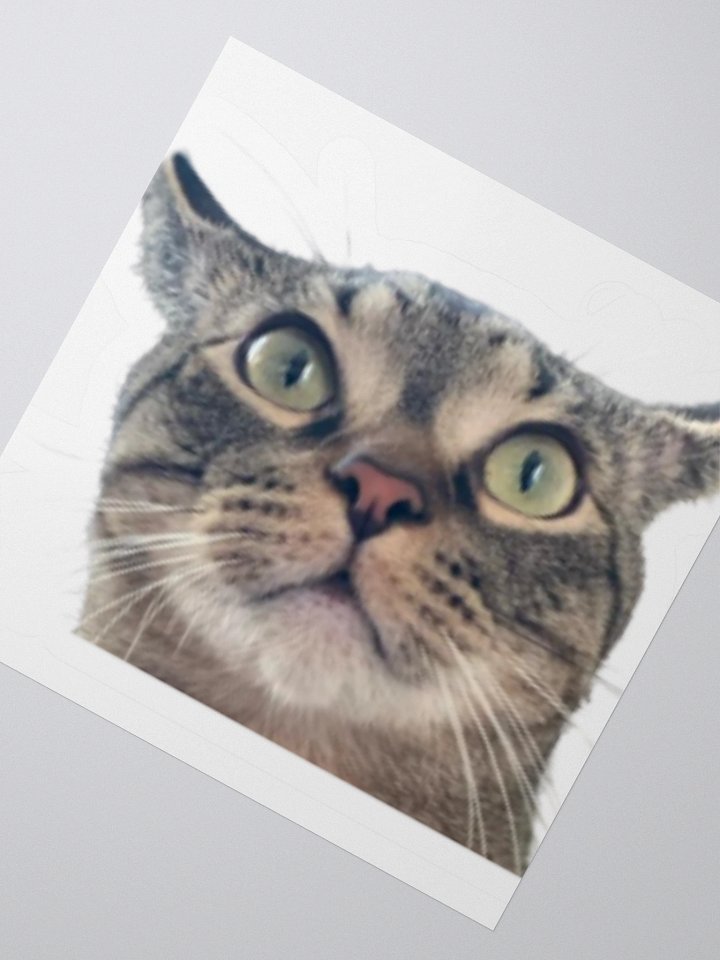 Luke Sticker product image (4)