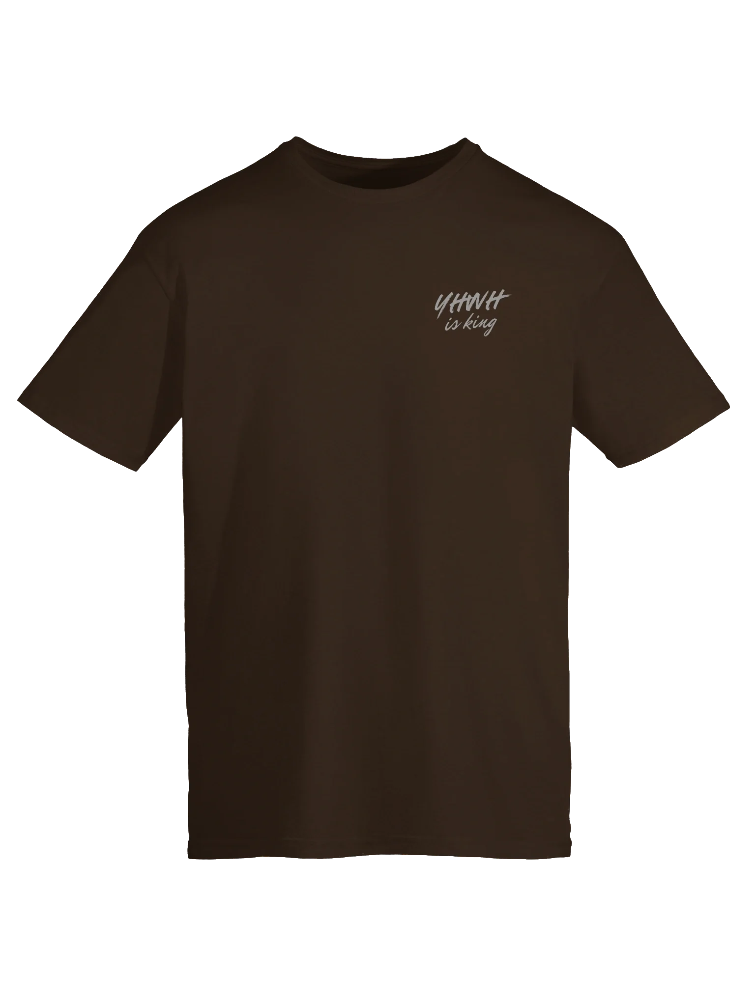 YHWH is King Brush Script T-Shirt product image (61)