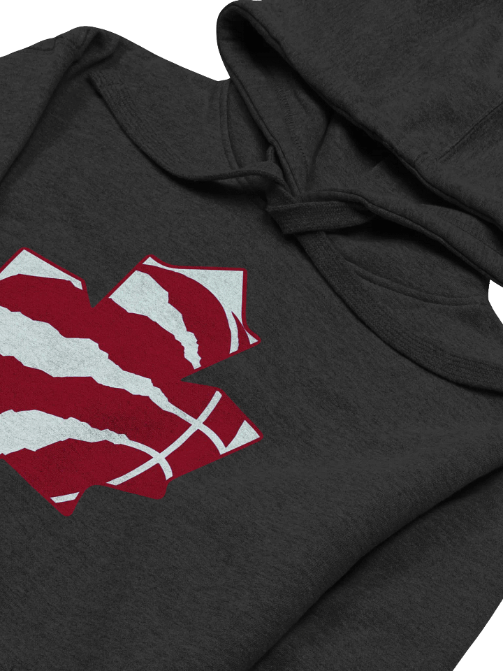 Toronto Dinos Hoodie product image (2)