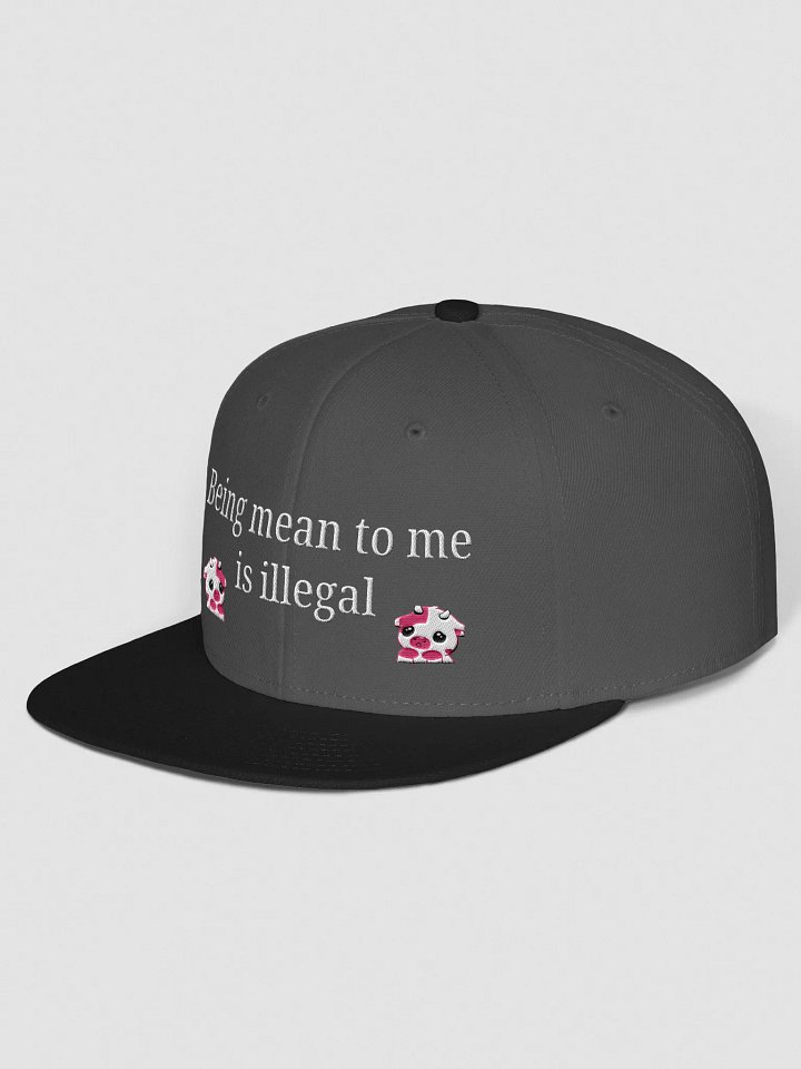 That's illegal snapback product image (2)