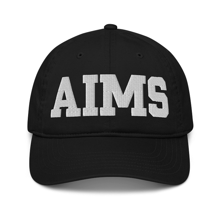 Aims Organic Dad Hat by Econscious product image (1)