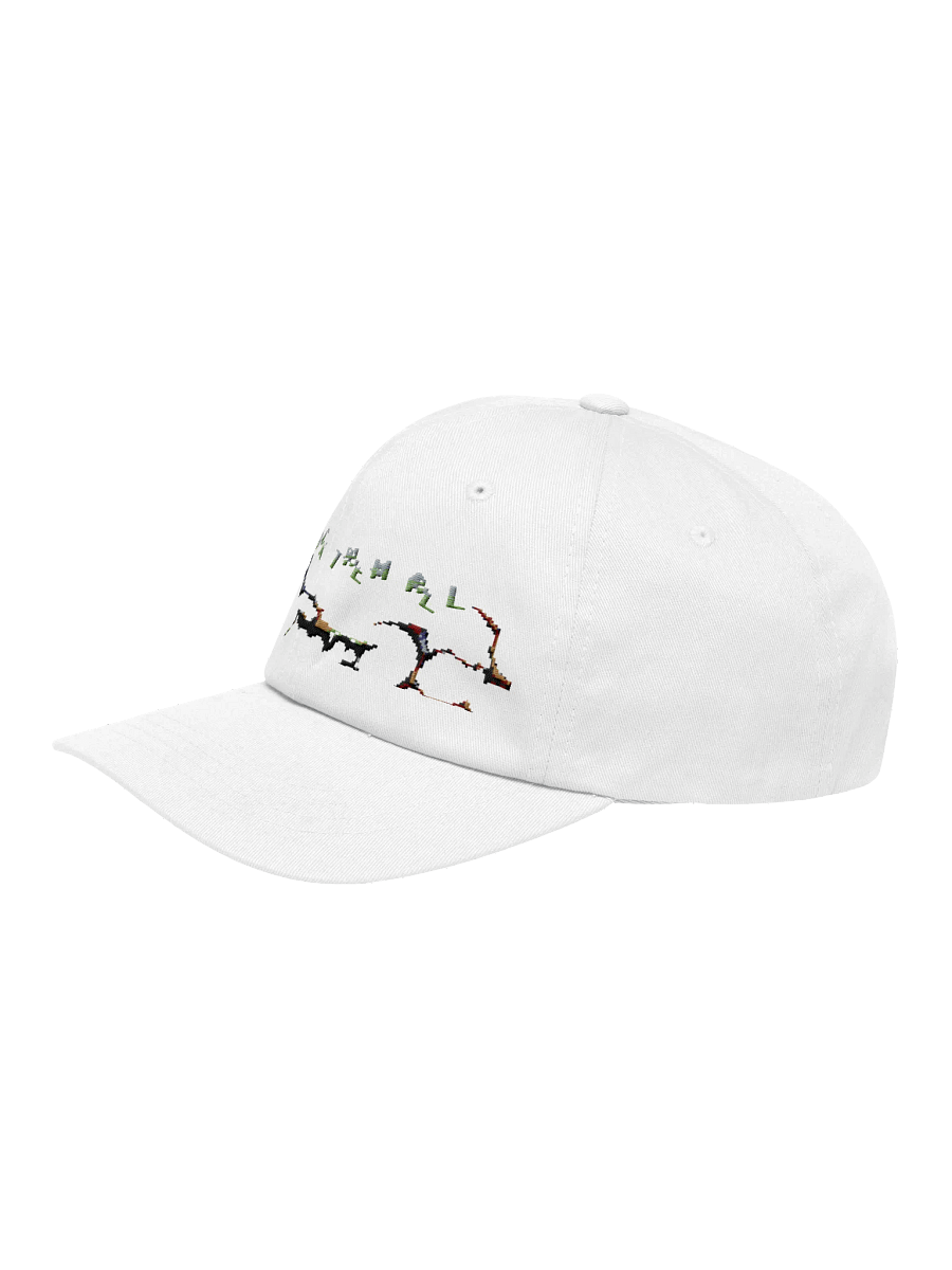 F*CK THEM ALL Dad Hat product image (19)