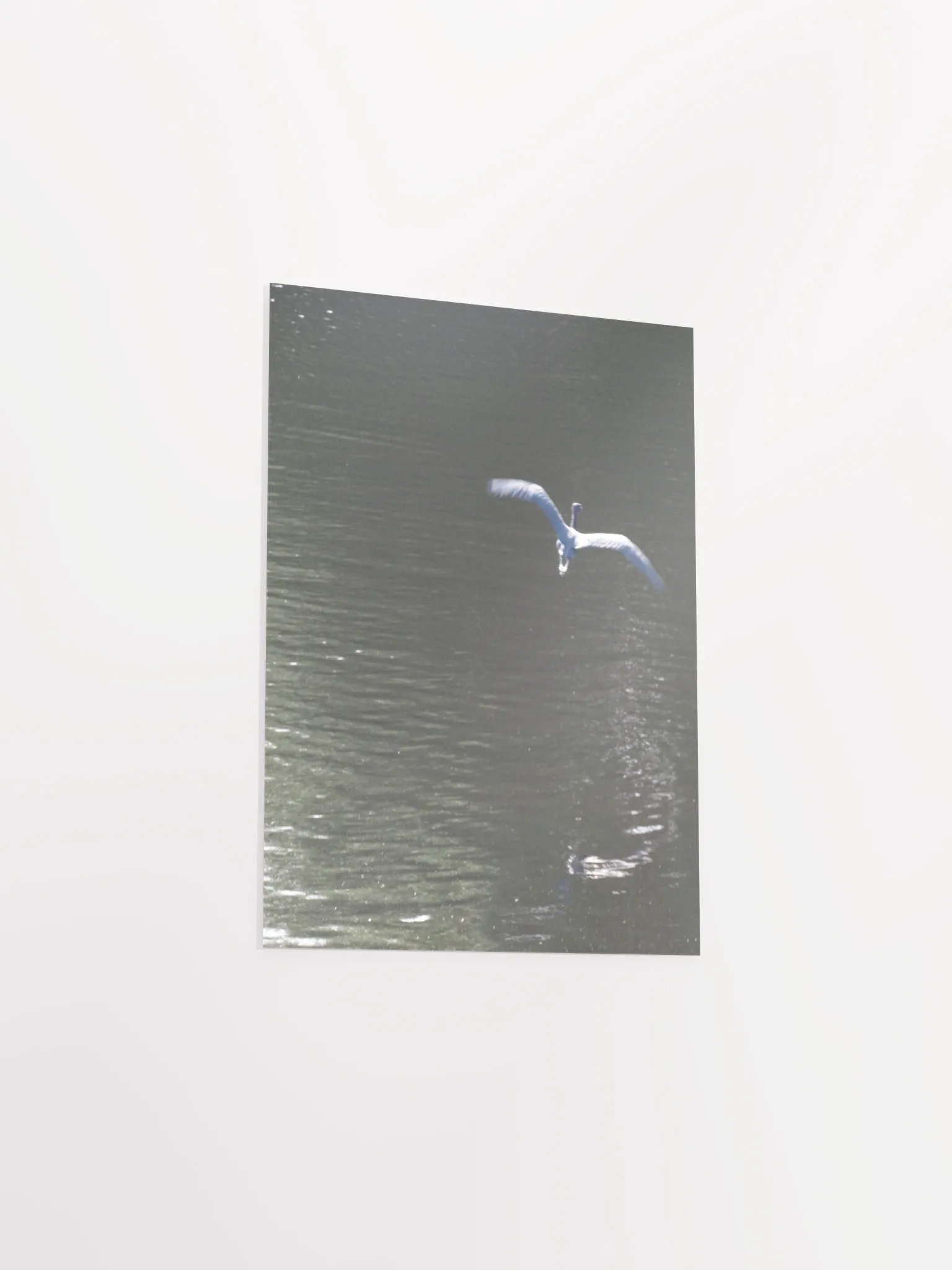 Flying Heron product image (32)