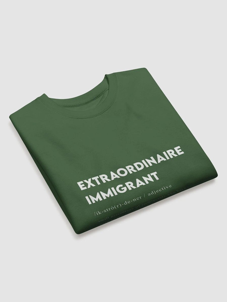 Extra Ordinaire Immigrant Hoodie product image (3)