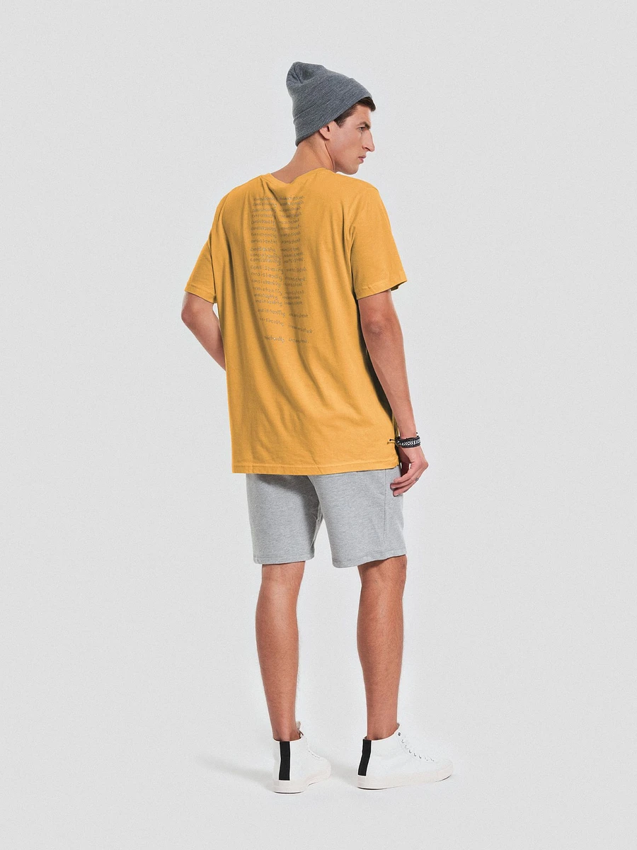 Consistently Inconsistent - TEE product image (27)