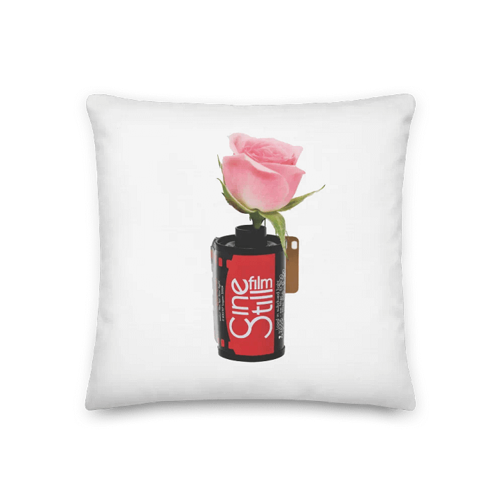 Cinestill Rose Reversible Pillow product image (1)