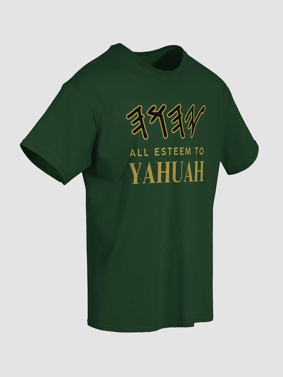 Yasharal Original Music: All Esteem To YAHUAH | T-Shirt | Forest Green product image (5)