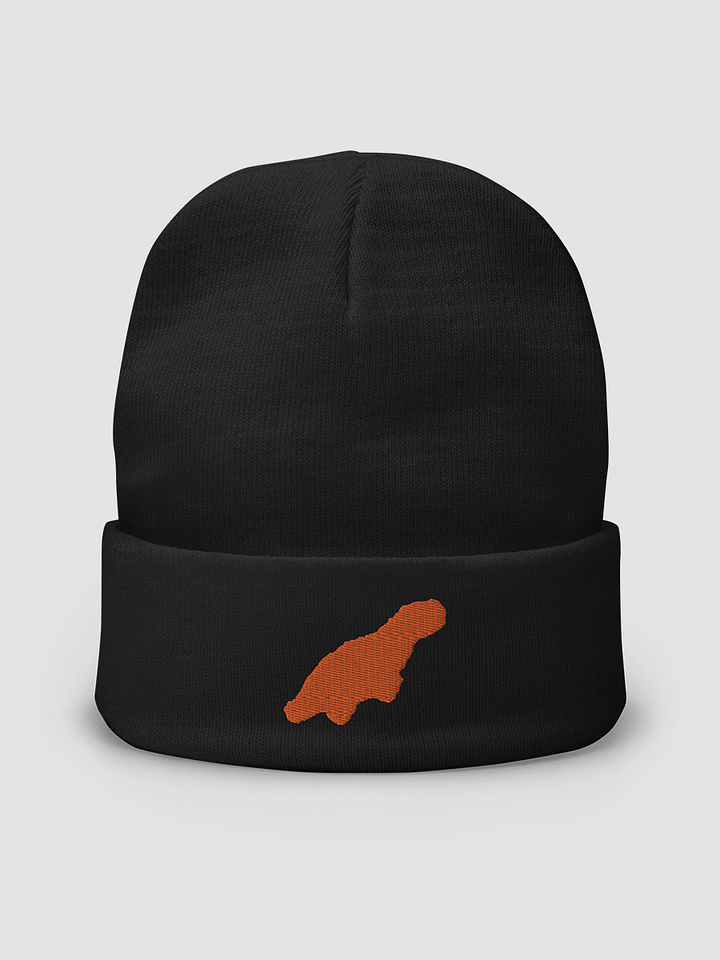 Dino Beanie product image (1)