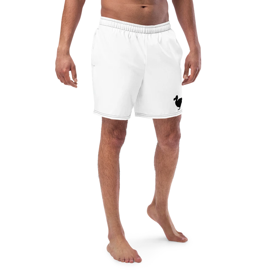 Dodo Swim suit product image (1)