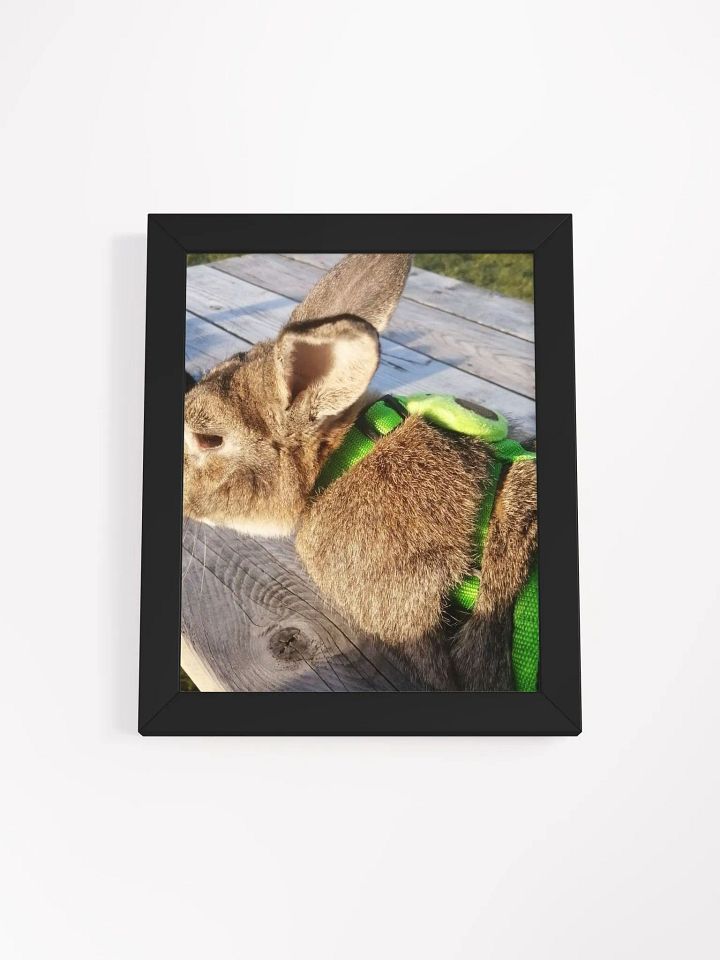 Poster Of My Bunny product image (41)