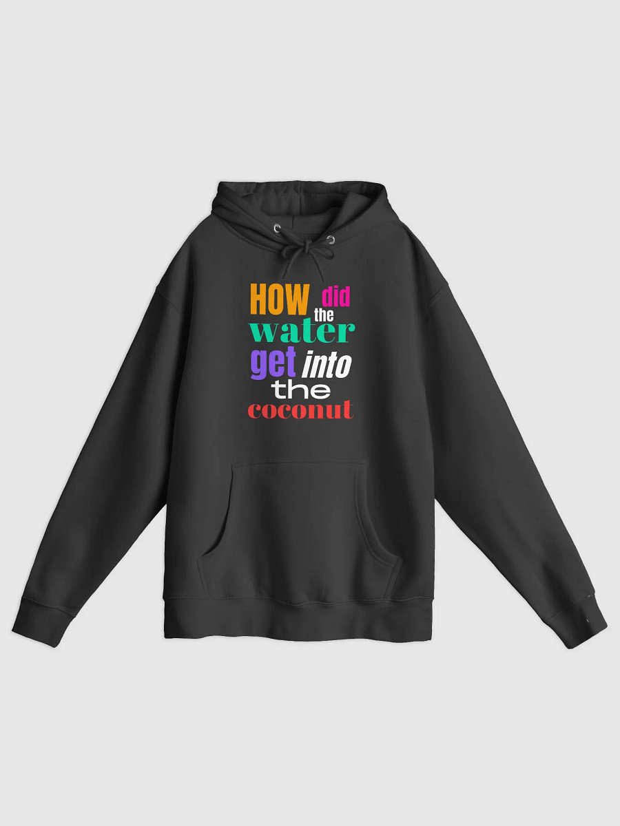 How Did the Water Get into the Coconut?" Lane Seven Premium Pullover a Funny Quote Hoodie product image (3)