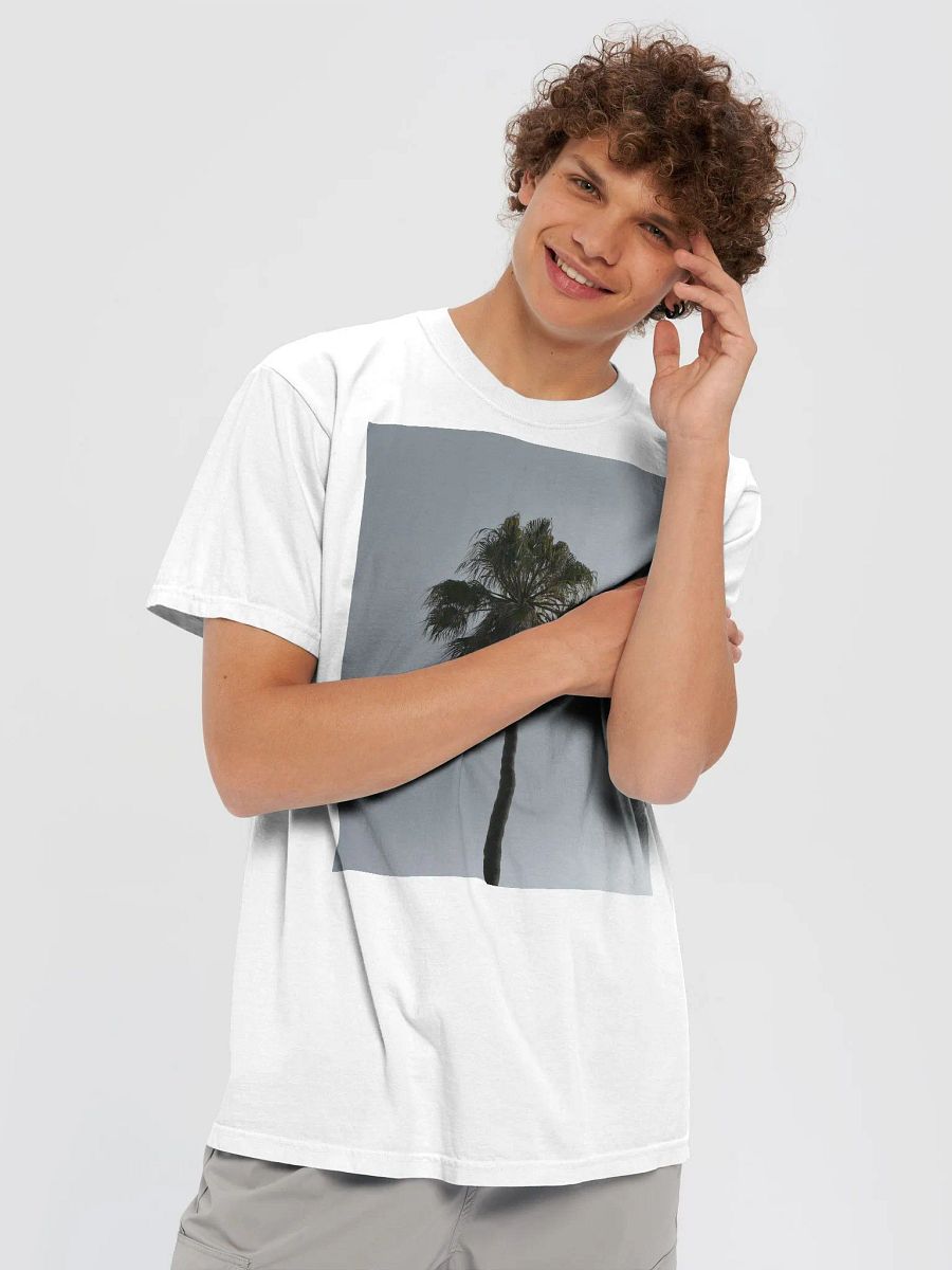 Palm Tree product image (3)