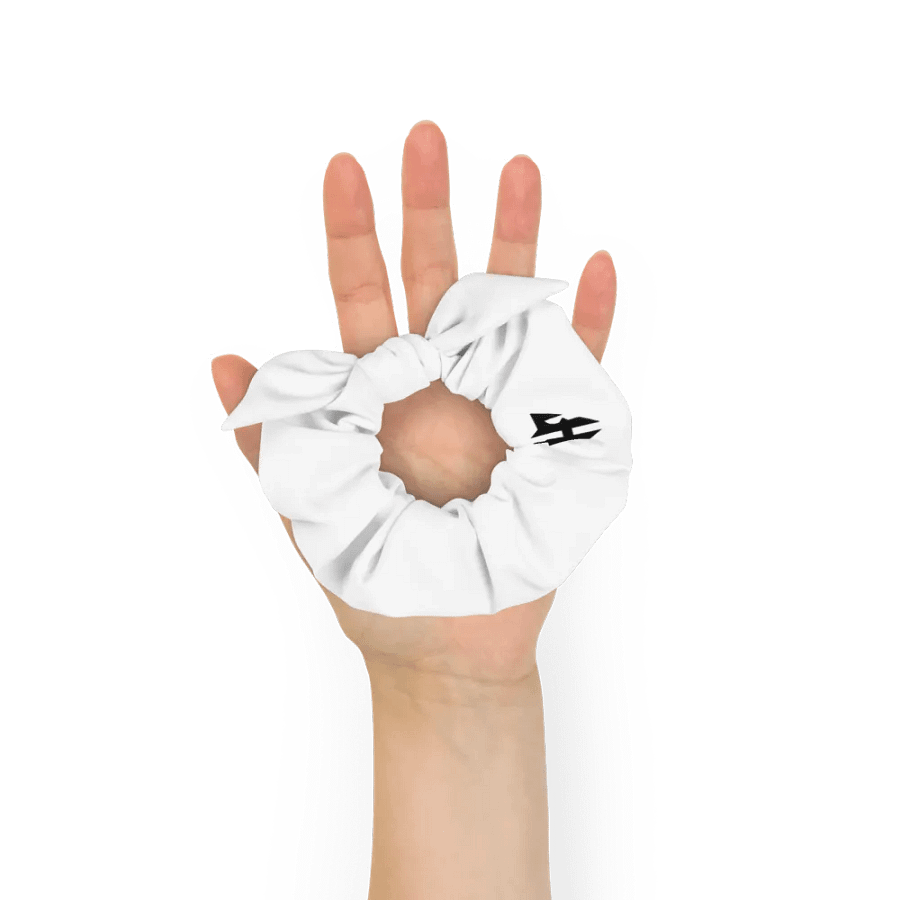 Fasify Scrunchie product image (8)
