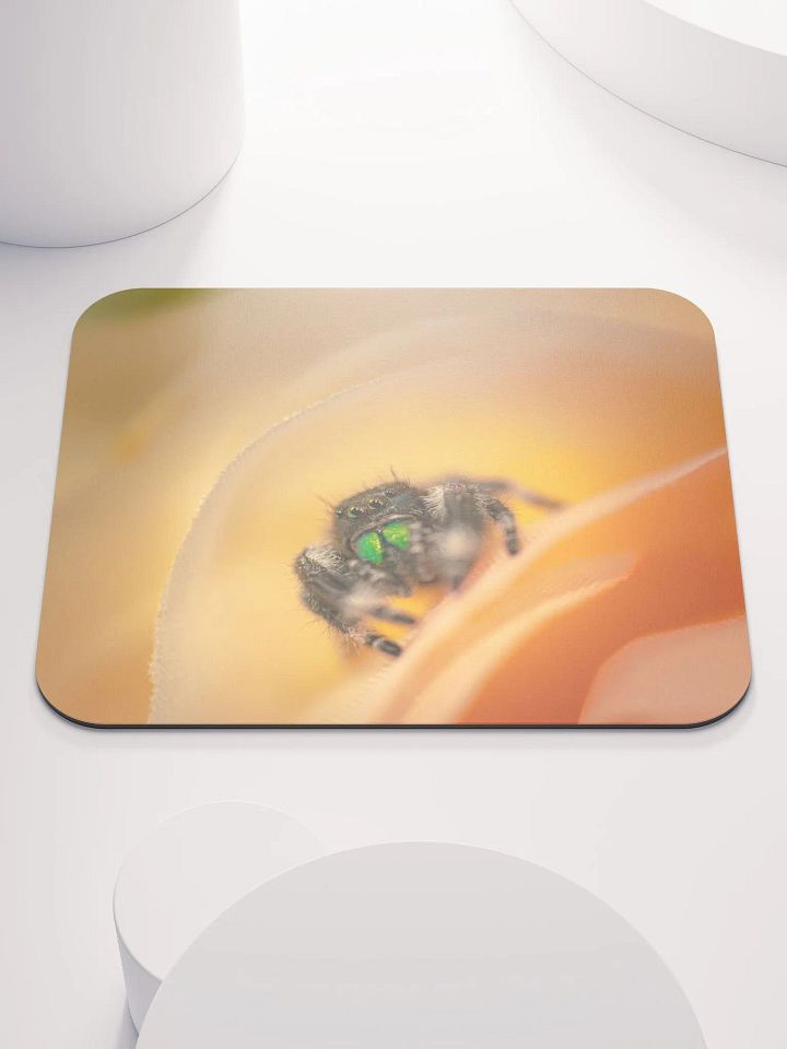 Carl's Pad product image (1)
