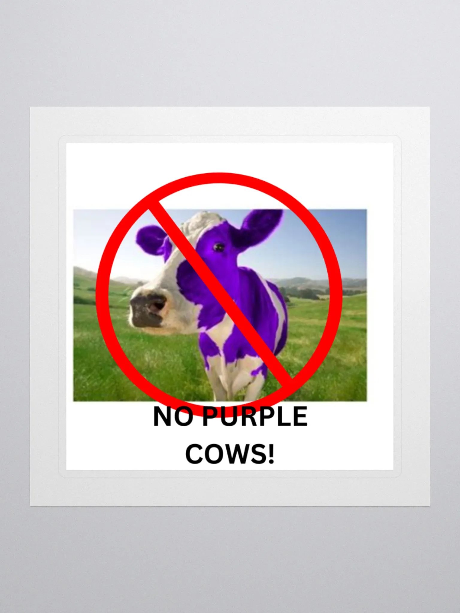 No Purple Cows! Sticker product image (1)
