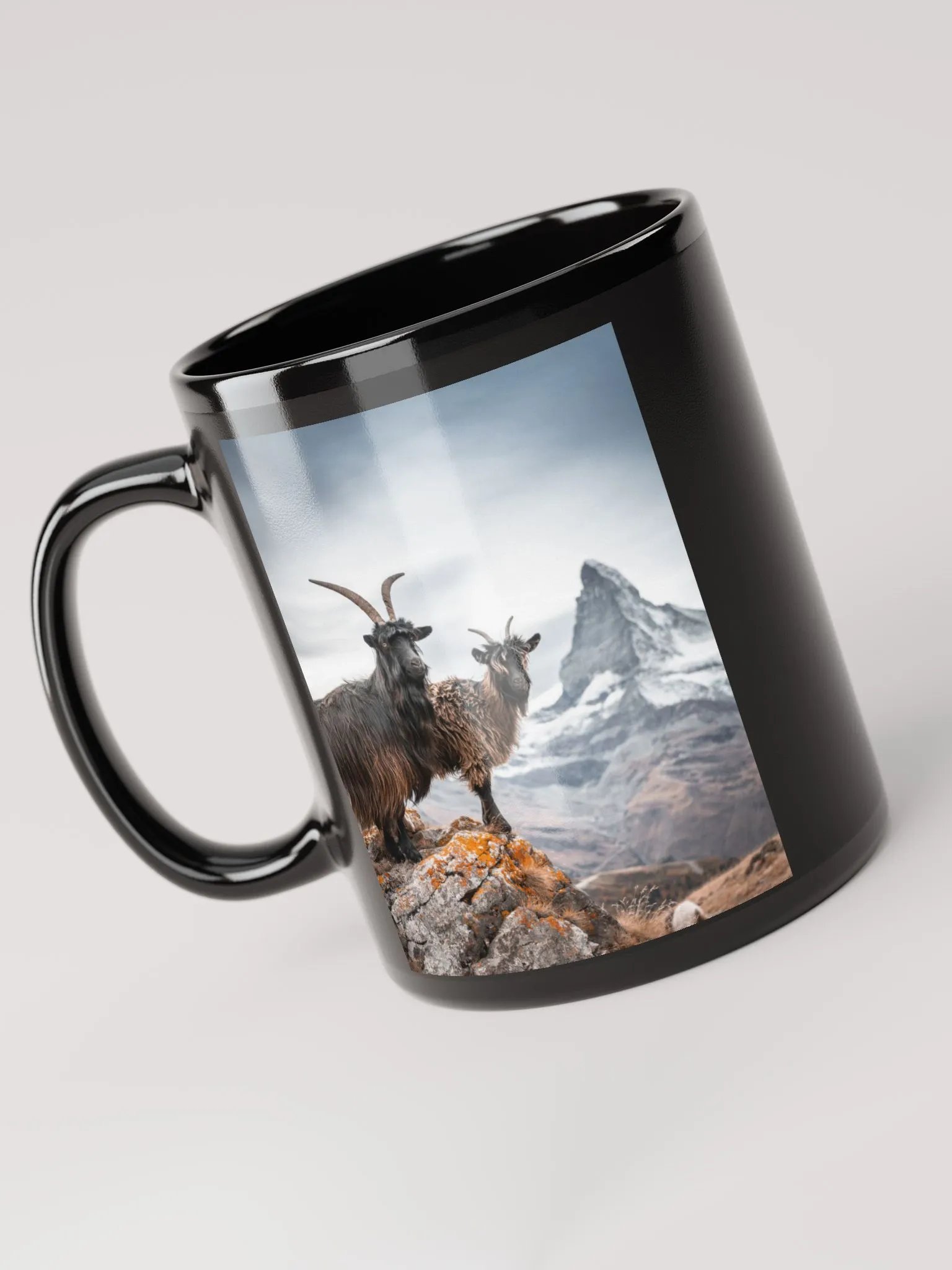 Blackneck goat Mum and teenage dirtbag product image (6)