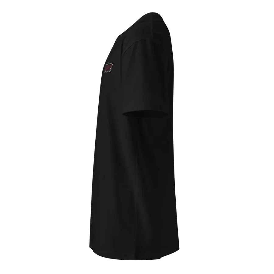 Unisex Stitched Diosa T-Shirt product image (16)