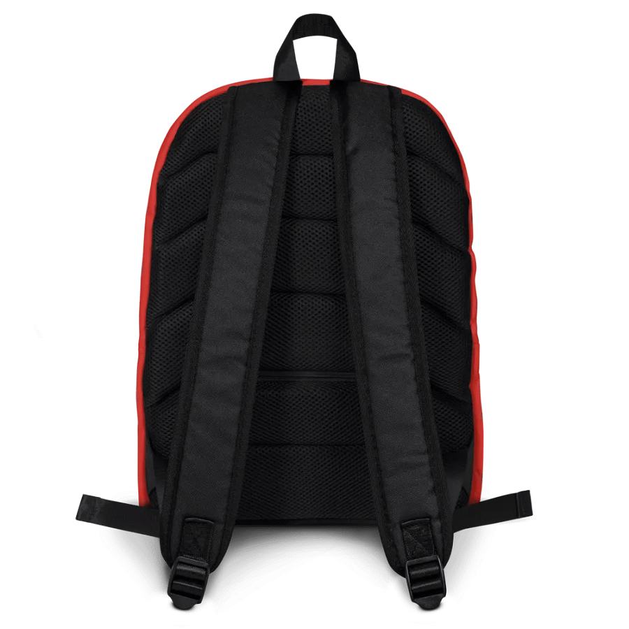 Expreso Aereo Interamericano - Cuba - Backpack product image (4)