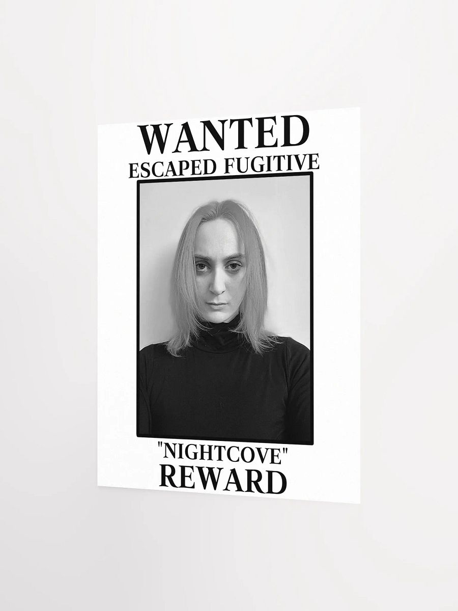 The Villain WANTED Poster product image (2)