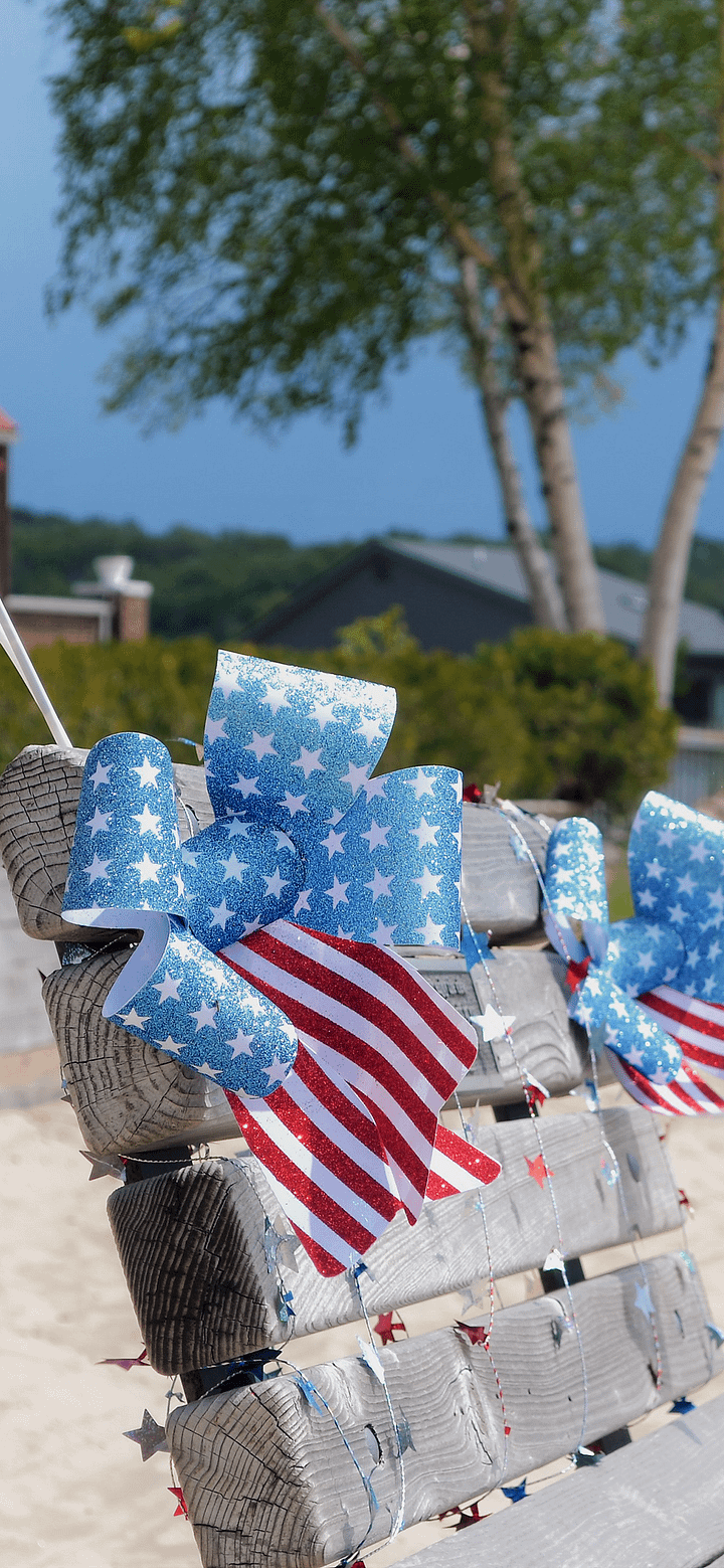 American Celebration Phone BG product image (1)