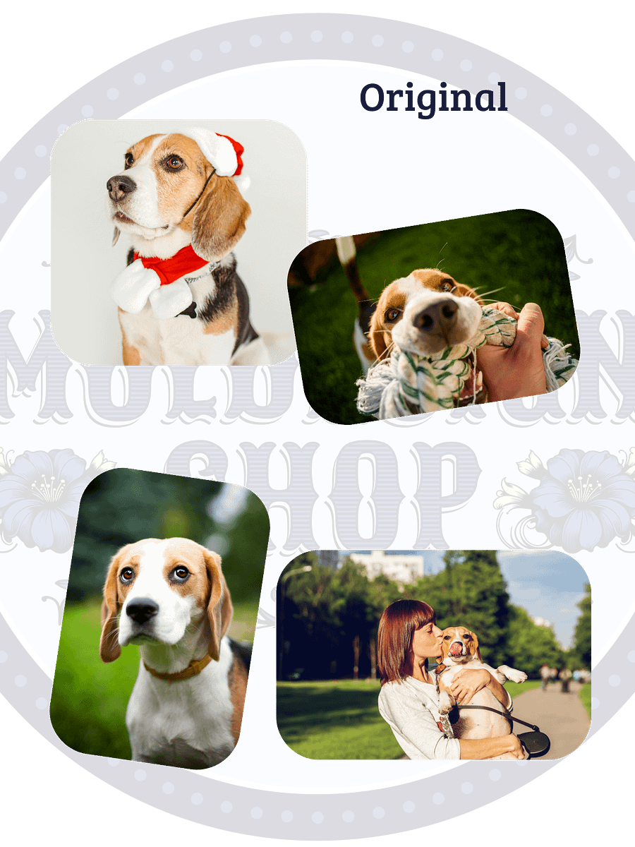 YOUR BEST FRIEND! / STICKER WITH PERSONALIZED NAME product image (4)