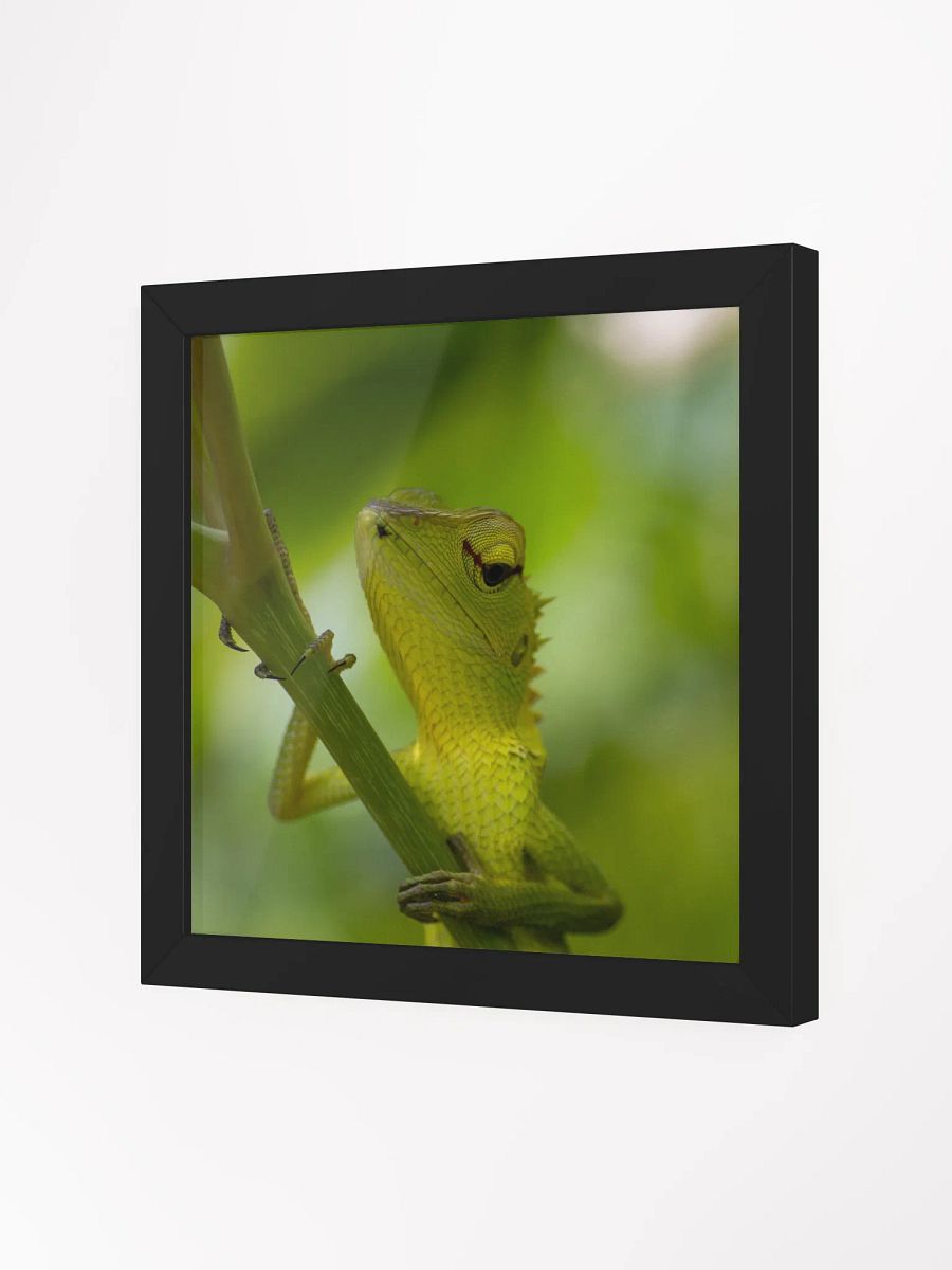 Garden Lizard in Focus product image (8)
