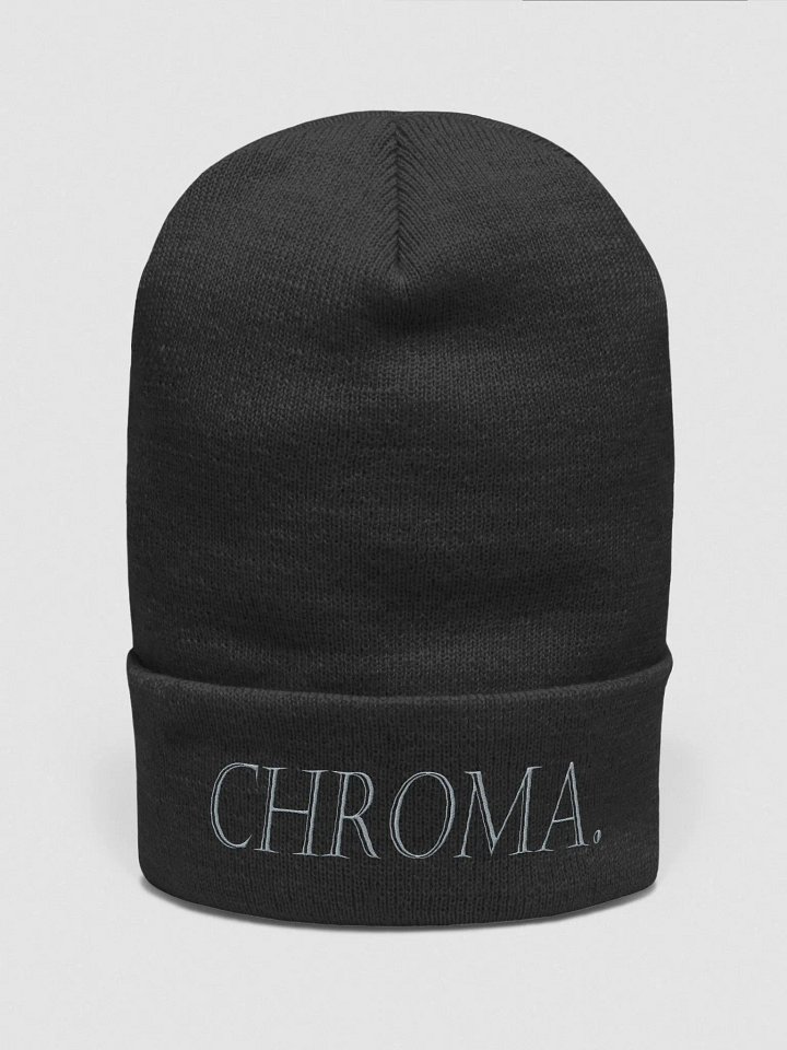 CHROMA BEENIE product image (1)