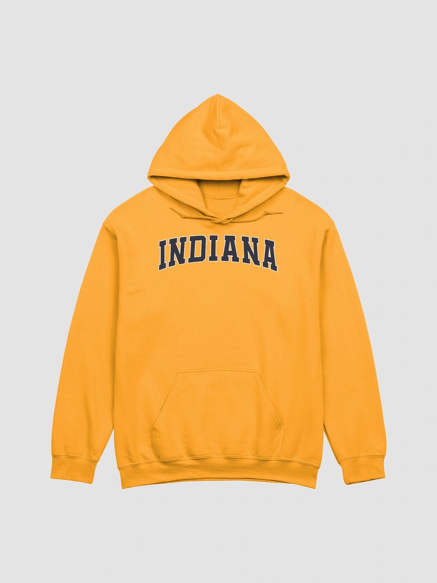 Indiana Vintage Stylish Classic Hoodie product image (1)