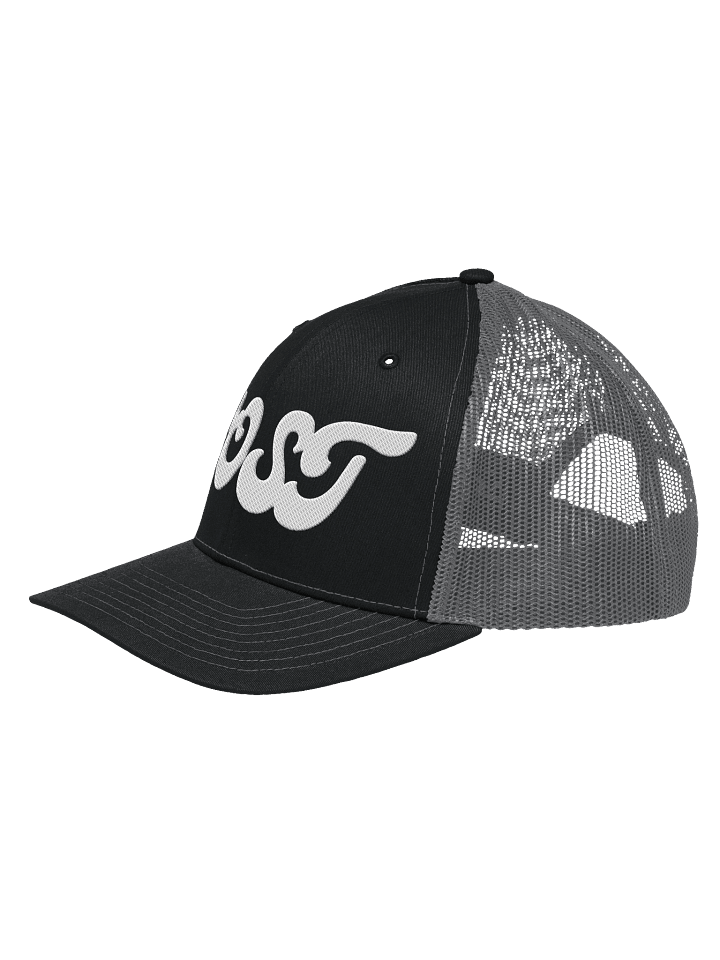 Lost Trucker product image (2)