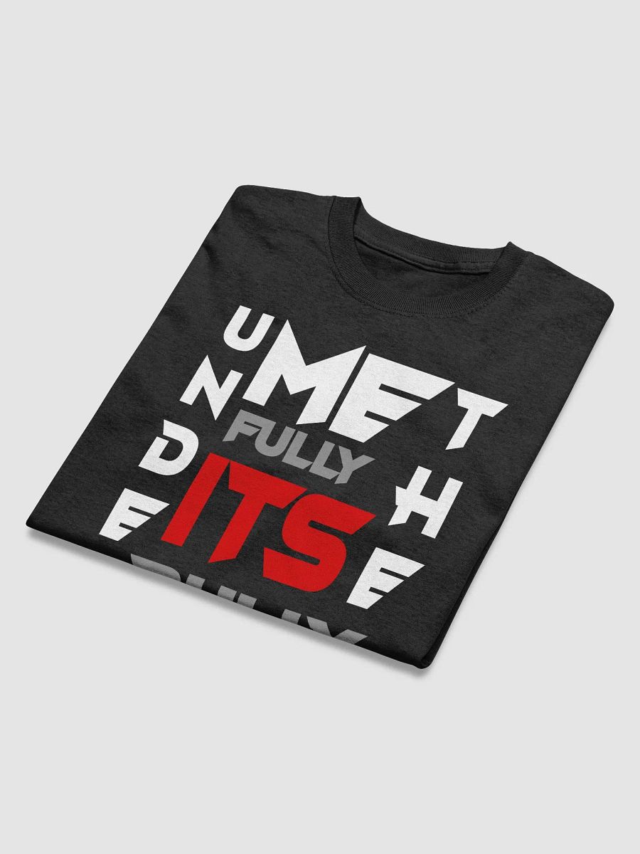 UNDERSTAND FULLY (T-SHRITS )BLACK product image (4)