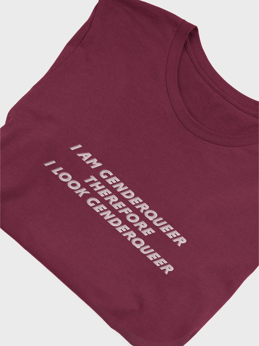 i am genderqueer therefore i look genderqueer t-shirt product image (5)