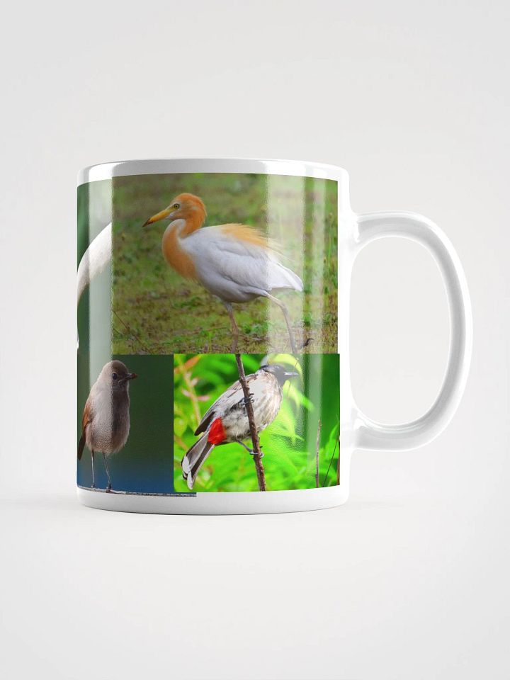 IUCAA Birds White Glossy Mug product image (1)