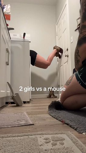 Reupload since the audio didn’t work 😭 #explorepage #explore