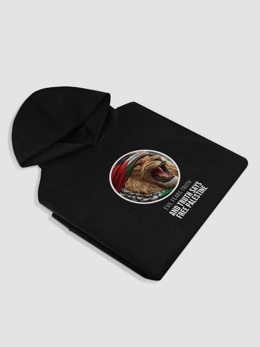 Roaring Lion Keffiyeh Oversized Hoodie | evil fears truth and truth says free palestine product image (7)