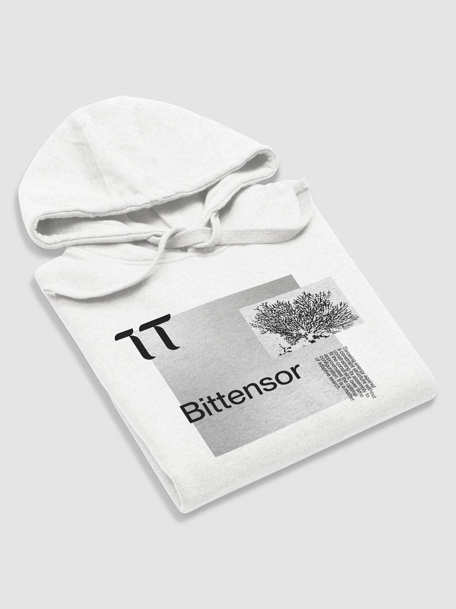 Bittensor Neural Network Hoodie product image (6)