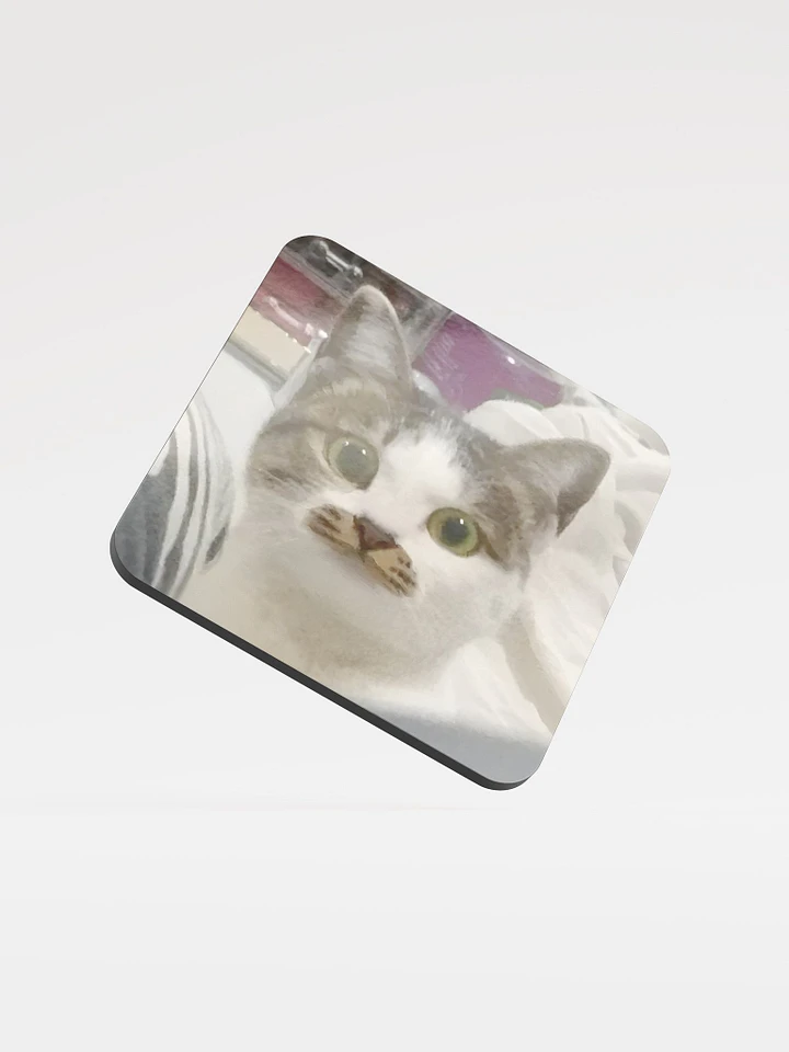 Glossed Cork Coaster: Meme Cats product image (1)