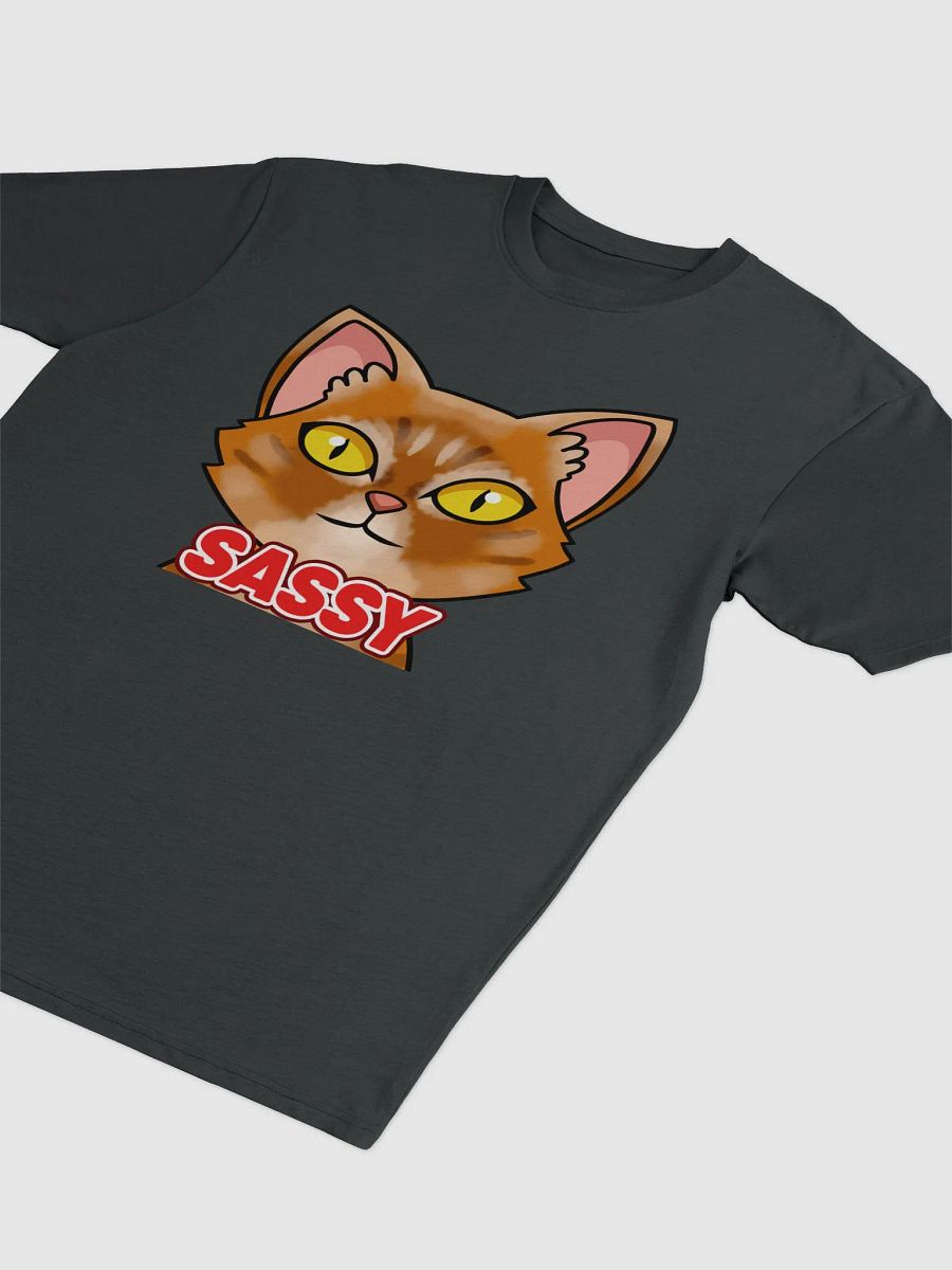 SASSY Shirt, Front product image (4)
