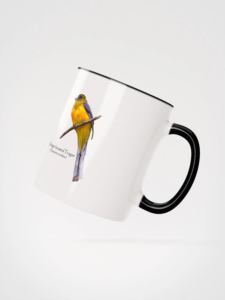 Orange-breasted Trogan mug product image (20)