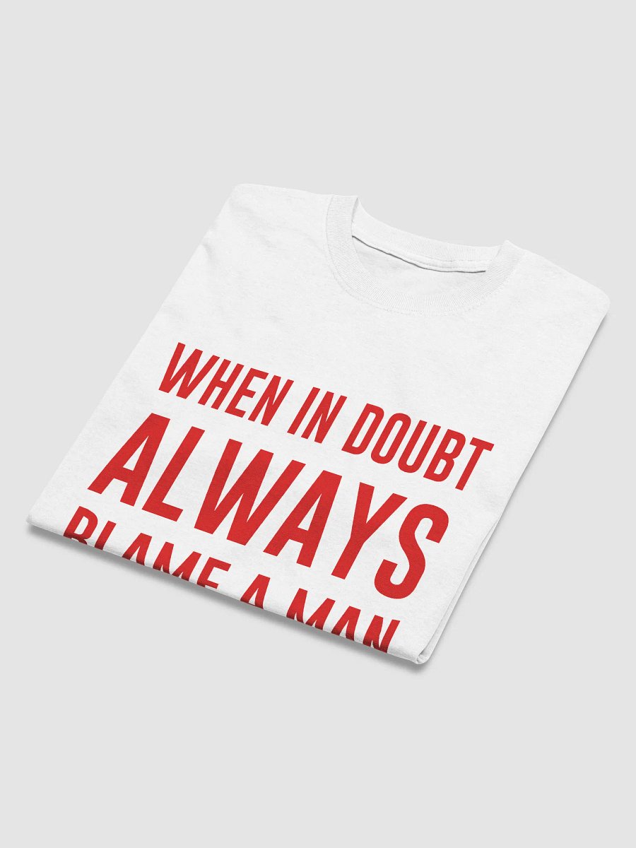 WHEN IN DOUBT ALWAYS BLAME A MAN T-Shirt product image (4)