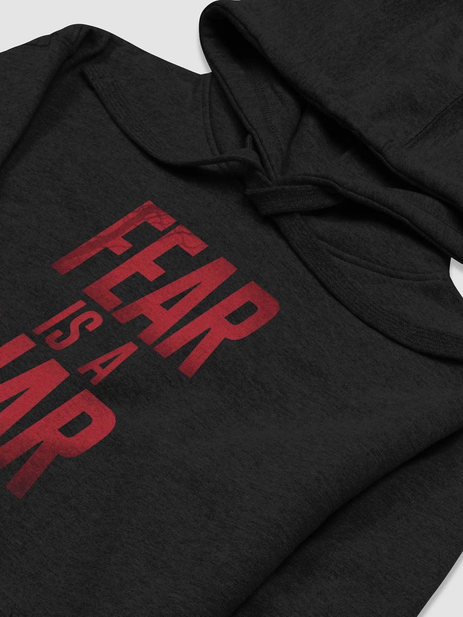 Fear is a liar Unisex Hoodie product image (5)