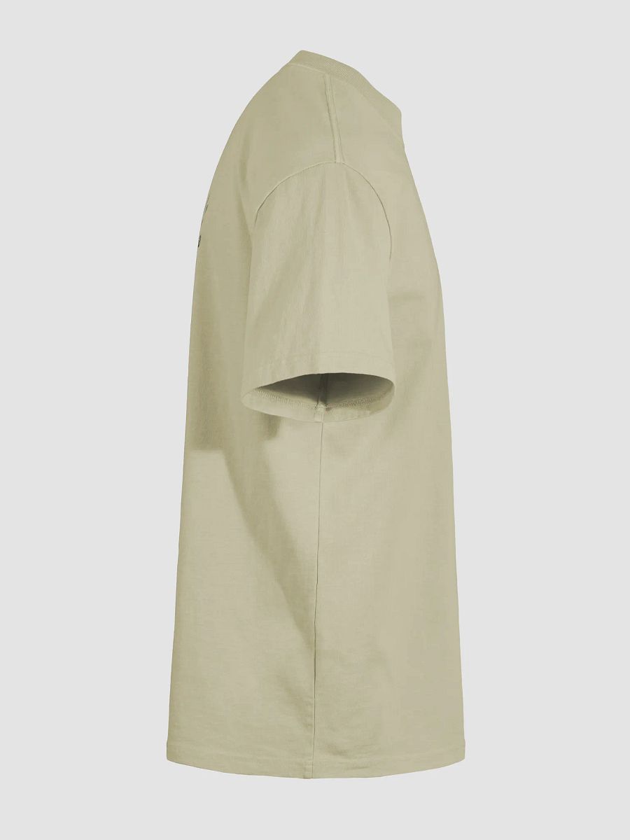 Columbia Road Market Vintage Vibes Oversized Tee (Faded Eucalyptus) product image (10)