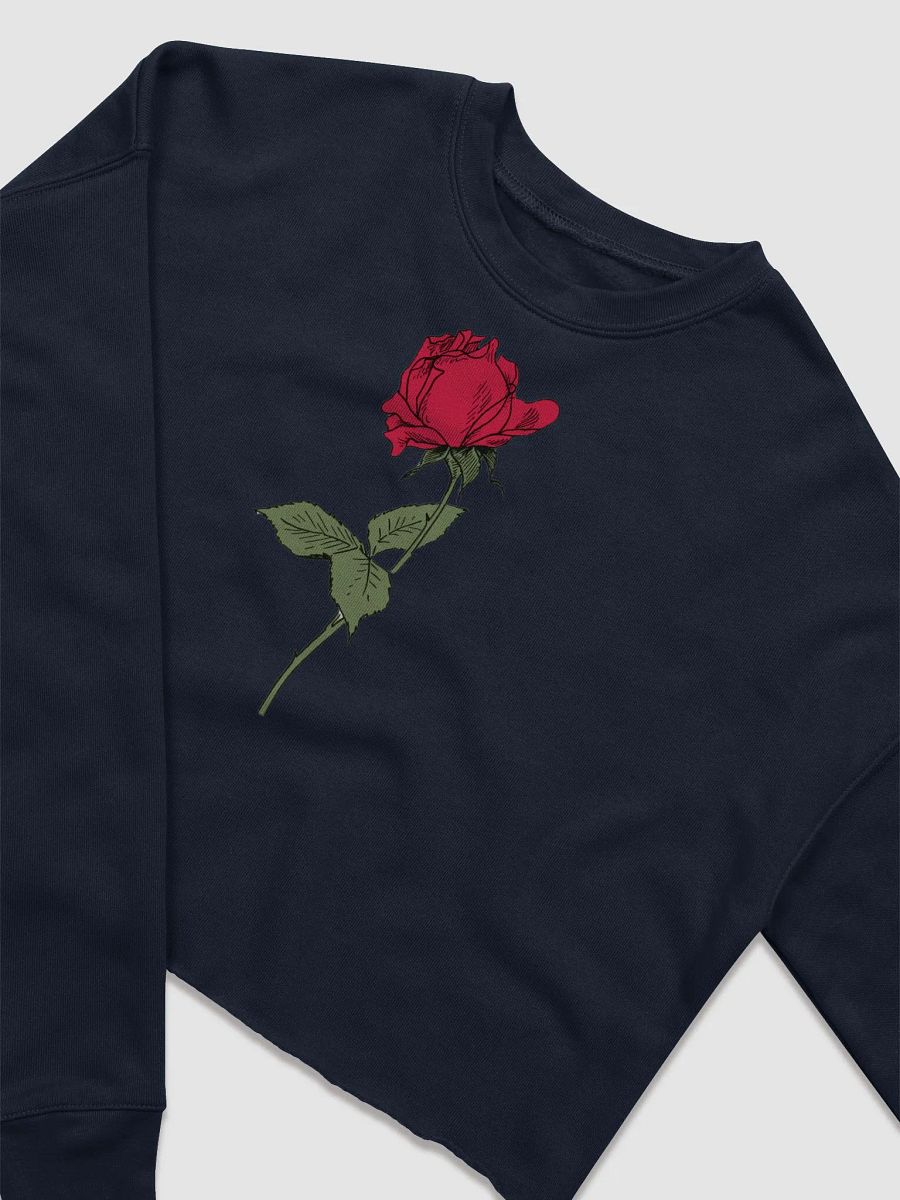 EM \\ Cropped Sweatshirt product image (3)