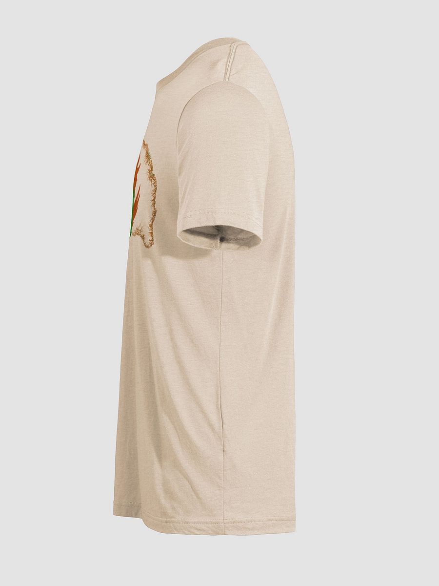 Dragon's Blaze Tri-Blend Tee product image (7)