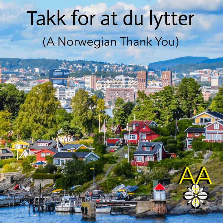 Takk for at du lytter (A Norwegian Thank You) product image (1)