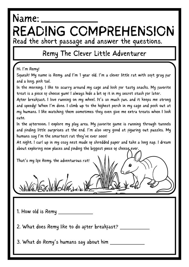 KINDERGARTEN READING COMPREHENSION WORKSHEET PRINTABLE product image (1)