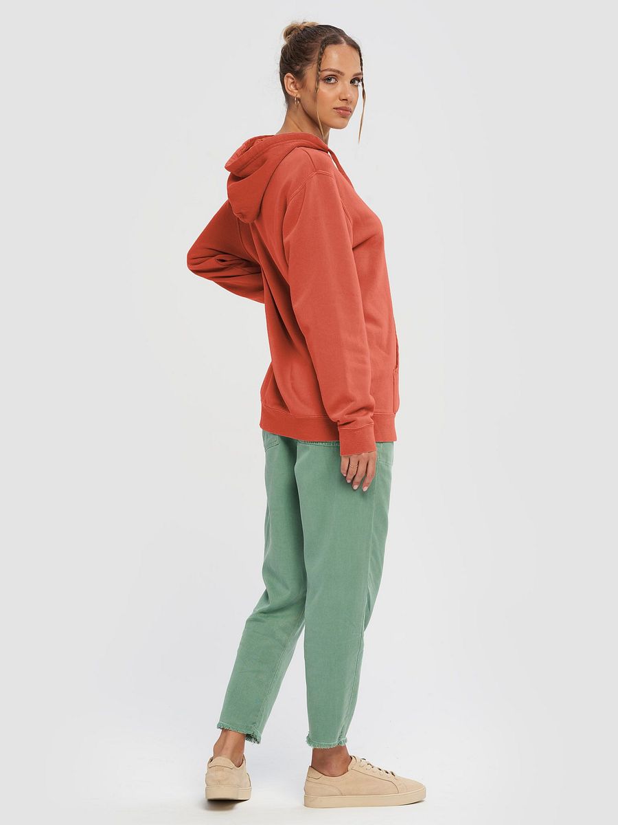 hyperverbal (comic sans, #5D1717) printed pigment dyed hoodie product image (3)