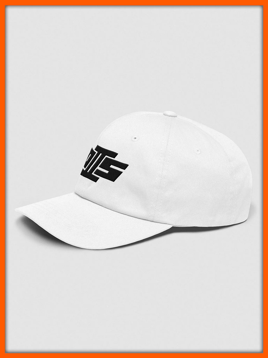 D2S "Coal" Dad Hat product image (3)