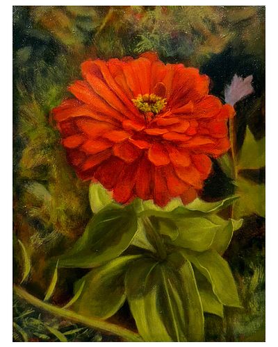 Zinnia
Oil on Canvas
9” x 12”
Available for purchase
