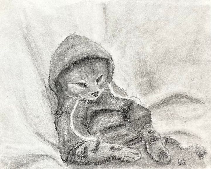 Cool Cat product image (1)